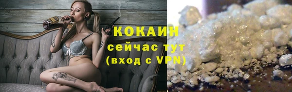 твердый Богданович