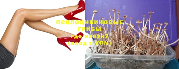 винт Богородицк