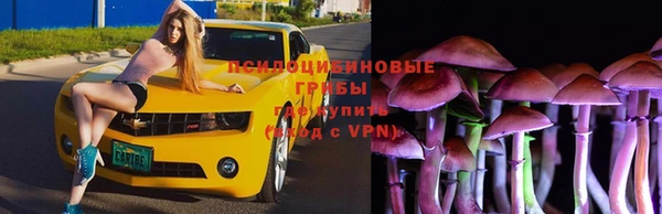 винт Богородицк
