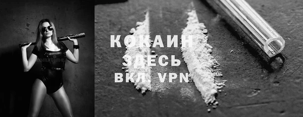 твердый Богданович