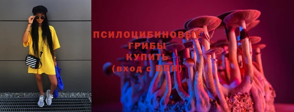винт Богородицк