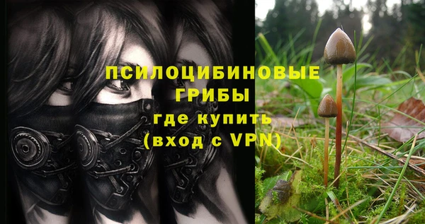 прущие крисы Богородск