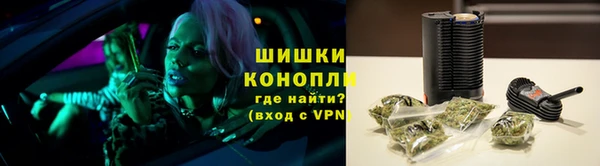 твердый Богданович