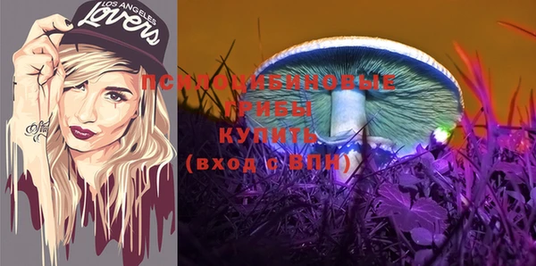 твердый Богданович