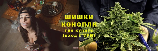 прущие крисы Богородск