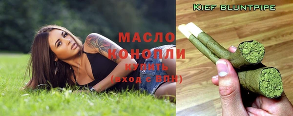 твердый Богданович