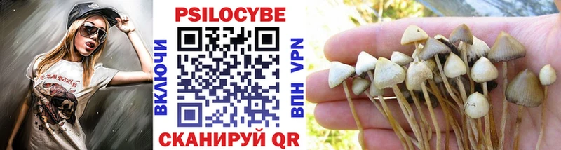 Галлюциногенные грибы мицелий Донской