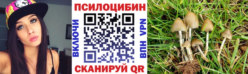 Купить  Донской  Галлюциногенные грибы мухоморы 
